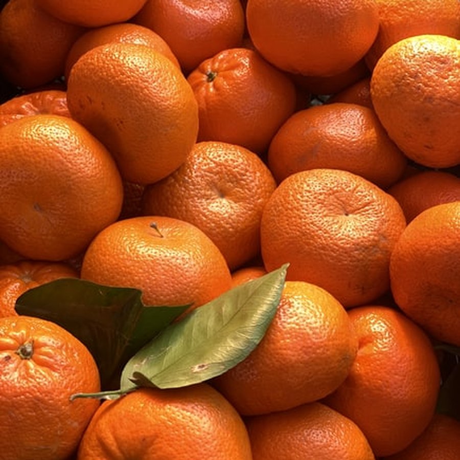 Fresh mandarins